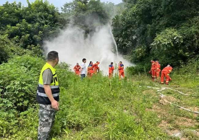 守好绿色故里|铁山坪街道踏实做好丛林防火使命
