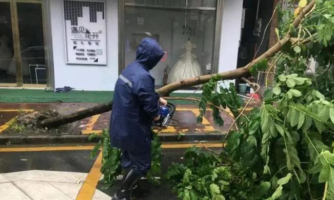 沙琅镇：打好防风防汛“自动战”，“小网格”完成“大掩护”